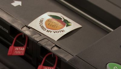 Live Updates: Georgia primary, non-partisan Election Day underway