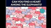 Latest trending News, Live Updates Today September 5, 2024: Only the sharpest eyes can spot the heart in this elephant puzzle – are you up for the challenge?