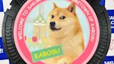 Muere Kabosu, el perro que protagonizó el meme mundial 'Doge' y es la imagen de la criptomoneda favorita de Elon Musk