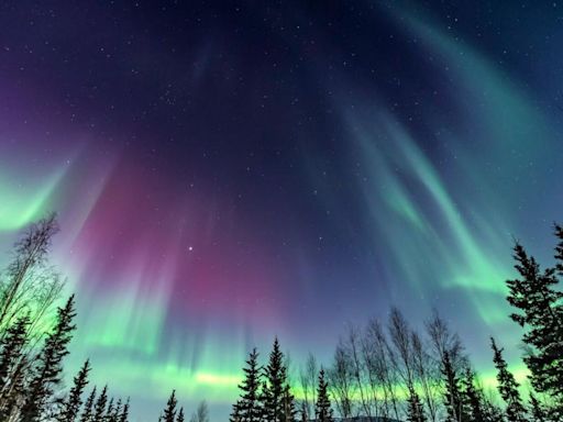 See the Northern Lights on Every Princess Cruise to Alaska in 2024