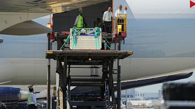 Panda pair arrive in Hong Kong, boost city’s total to highest ever