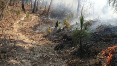 Combate y liquidación de incendios forestales en Valle de Bravo