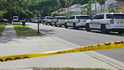 Man breaks into Palm Harbor home, kills ex’s mother, then himself, deputies say