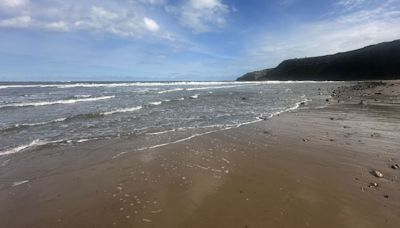 I visited Yorkshire's perfect 'secret beach' but left feeling heartbroken