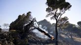 Bomberos luchan contra incendios en islas griegas de Chios y Cos