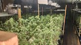 Largest marijuana grow in Stewart County history found at old church