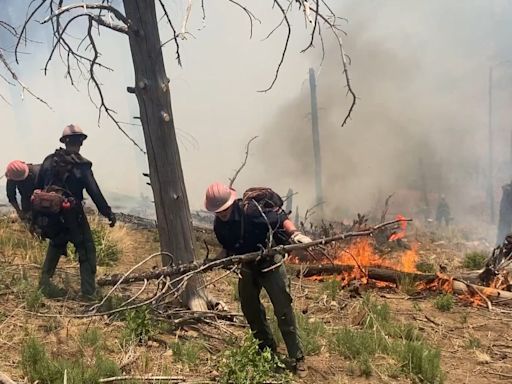 Blue 2 wildfire now burning through 7,000 acres of land in Lincoln National Forest