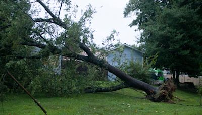 Delaware tornado delivered peak wind at 95 mph, damage in its 1-mile path. How big was it?