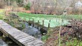 Hike near the Charlestown hatchery that once helped stock trout across Northeast.