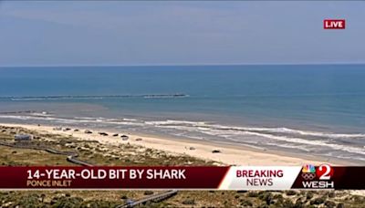 3 bitten by sharks in Florida near 'Shark Bite Capital of the World'