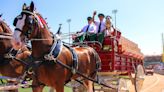 Anheuser-Busch stops cutting off tails of Budweiser Clydesdale horses after backlash