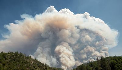 Wildfires can create their own weather, including thunderstorms and tornado-like fire whirls − an atmospheric scientist explains how