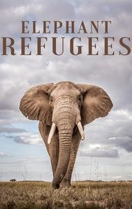 Elephant Refugees