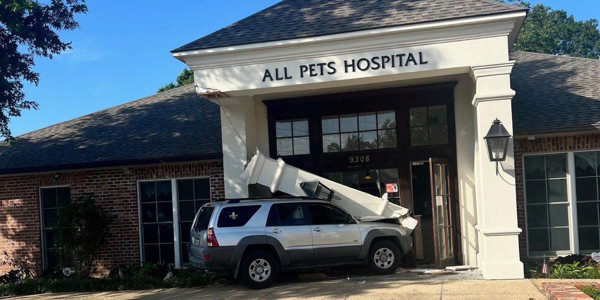 Vehicle crashes into animal hospital; no injuries reported