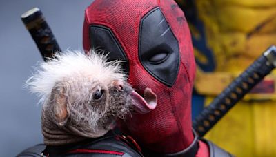 'Deadpool Wolverine': Ryan Reynolds temió no volver a interpretar a Wade tras unión de Disney y Fox