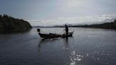 Rio de Janeiro bay reforestation shows mangroves' power to mitigate climate disasters