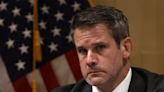 Kinzinger says it's on voters to prevent another insurrection: 'The torch has been passed—yes to DOJ—but also to the American people.'