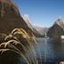 Fiordland National Park