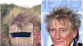 Rod Stewart responde al meme que lo compara con un fortín de guerra: “Jod**”