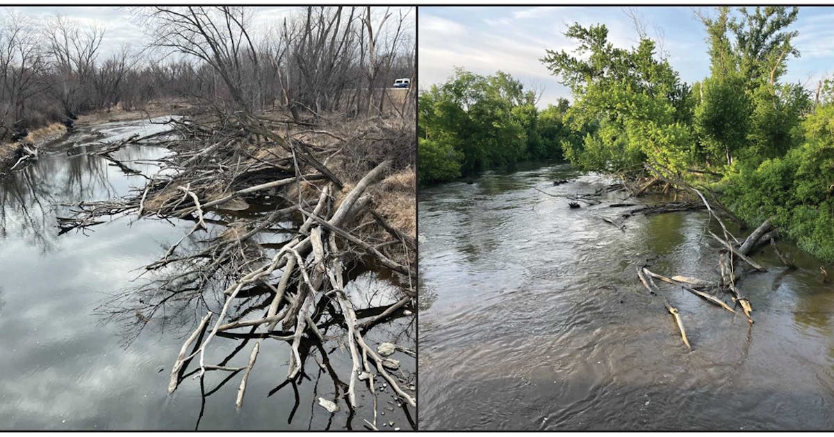 After river rescues, Cannon River paddlers advised to use caution