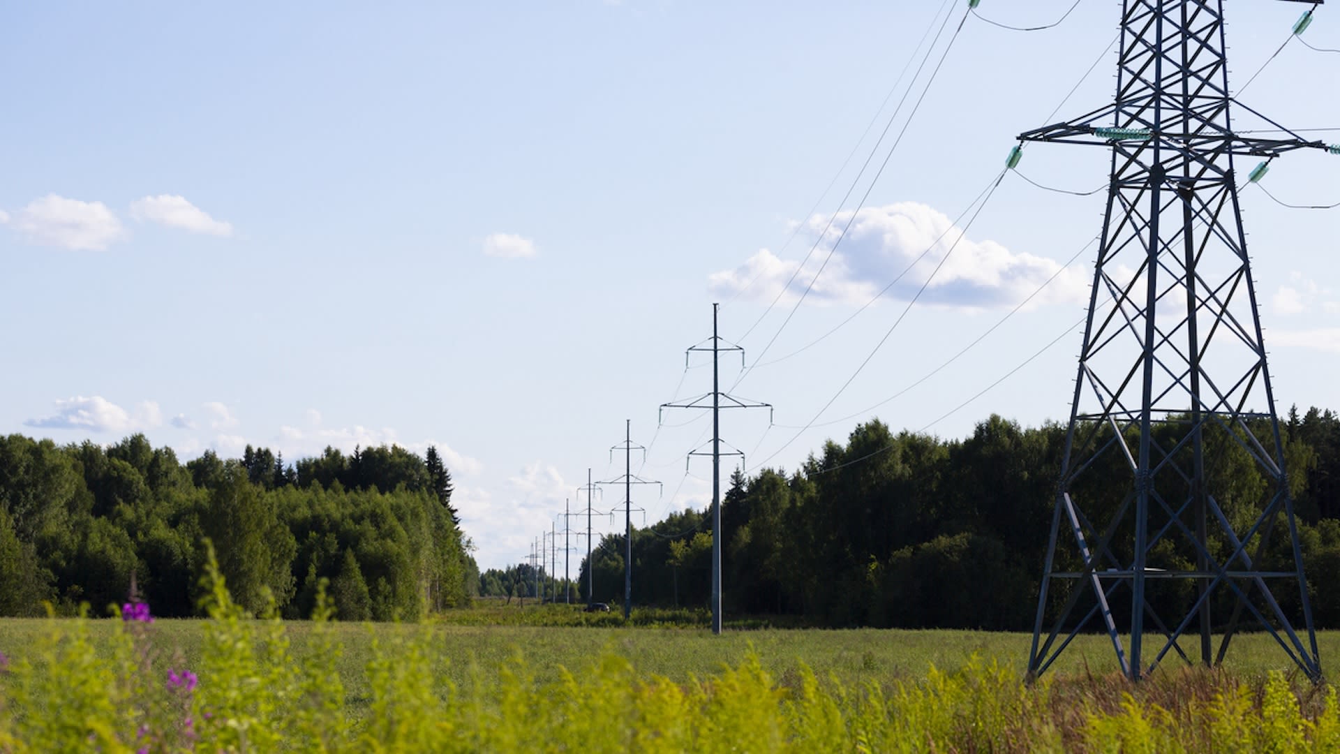 Utility company reaches historic achievement in clean energy production: 'Something that has not … been done before in many areas'