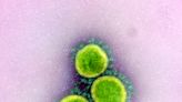 New Mutant Covid Variant From India, BA.2.75, Detected In California & 6 Other States, Raising Concern About Fall 2022 Wave