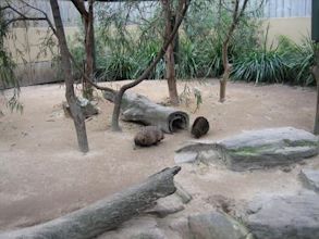 Adelaide Zoo