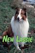 New Lassie