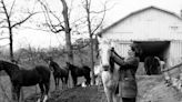 Why Debutantes Volunteered to Be Horse-Riding Couriers in Rural Kentucky