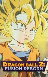 Dragon Ball Z: Fusion Reborn