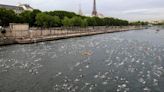 Paris mayor is confident that water quality will allow Olympic swimming in the River Seine