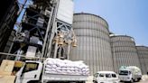 New exchange offers Egypt another way to import wheat
