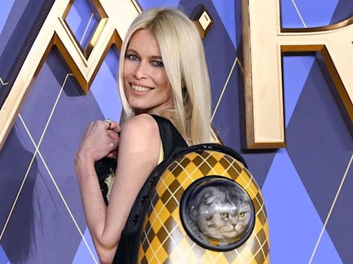 La mochila transportadora de gatos que usa Claudia Schiffer que es furor