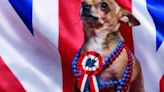 Puppy politics: How does your dog vote?
