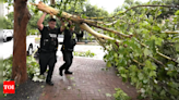 Severe storms kill at least 4 in Houston, knock out power in Texas and Louisiana - Times of India