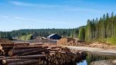 Weyerhaeuser Company (NYSE:WY) Q3 2023 Earnings Call Transcript