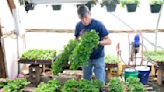 Varieties of plants abound at Smithland greenhouse