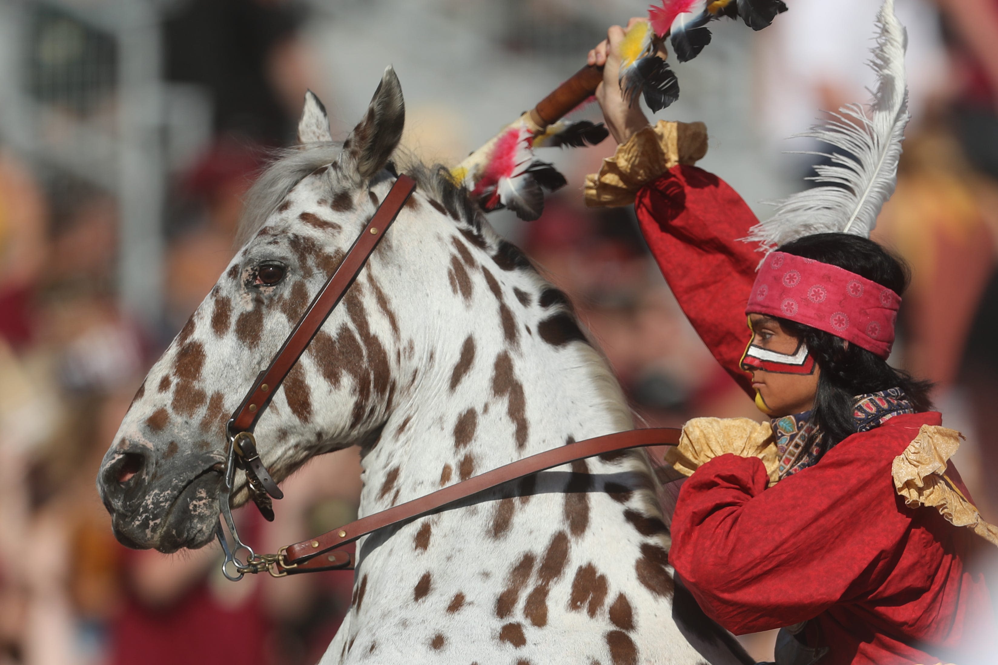 FSU has one of college football's best pregame rituals. Who are Osceola and Renegade?