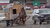 Man traveling across the US on his horse-drawn carriage. He's done it four other times