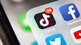 TikTok ban would cause businesses to 'shrivel and die,' warn US users