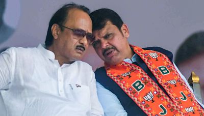 Maharashtra BJP workers are confused, not demotivated—party must counter ‘outsiders’ narrative