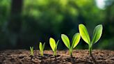 To grow or not to grow? That is not the right question - CUInsight