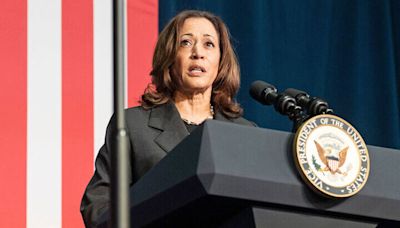 Kamala Harris 2024 Odds to Win Next US Presidential Election - VP is Natural Successor to Biden