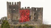 Cascade of poppies unveiled at Dudley Castle in Remembrance Day tribute