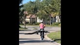 Watch lumbering alligator bring bicyclist to tense standstill in Florida neighborhood