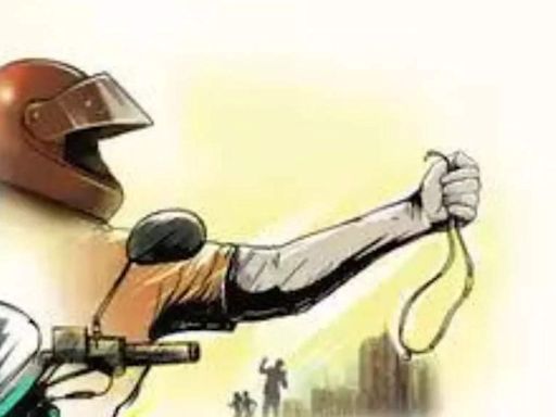 Biker snatches purse in Sector 34 Chandigarh | Chandigarh News - Times of India