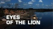 1. Eyes of the Lion
