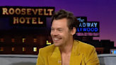 Harry Styles Says He'll "Never Say Never" to a One Direction Reunion