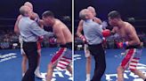 Fury vs Usyk referee BARELY FLINCHES as he takes brutal right hook to chin