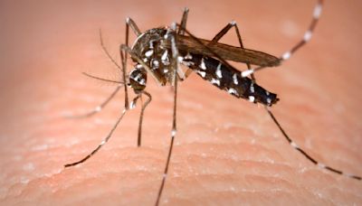 Broward inspectors responding to calls ahead of mosquito season